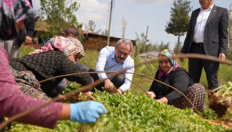 Milletvekili Tin, Beyağaç’ta hemşehrileriyle kucaklaştı!