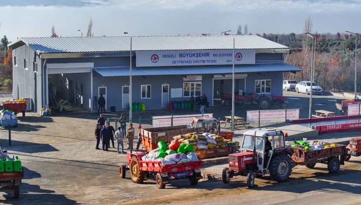 Zeytin üreticileri de Büyükşehir ile kazandı, 506.000 kilogram zeytin işlendi!